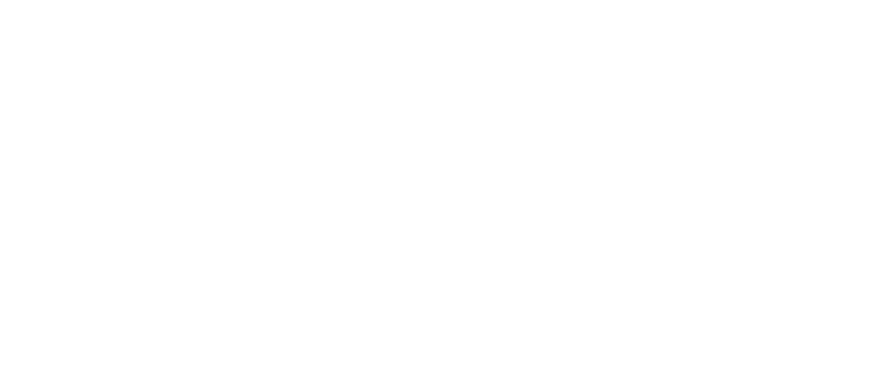A projekt logója STAKE